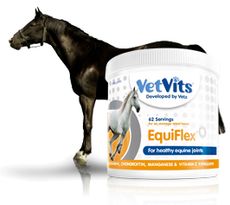 Equiflex.jpg
