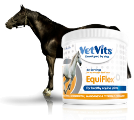 Equiflex.jpg