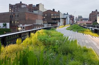 The Chelsea Grasslands is a prairie-like lanscape between West 19th Street and West 20th Street