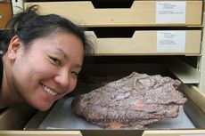 Sandy Kawano creates 3-D fossil models