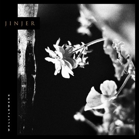 Jinjer Wallflowers album art