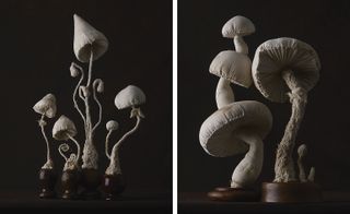 Untitled (mister finch’s toadstools) no. 12, 2015.
