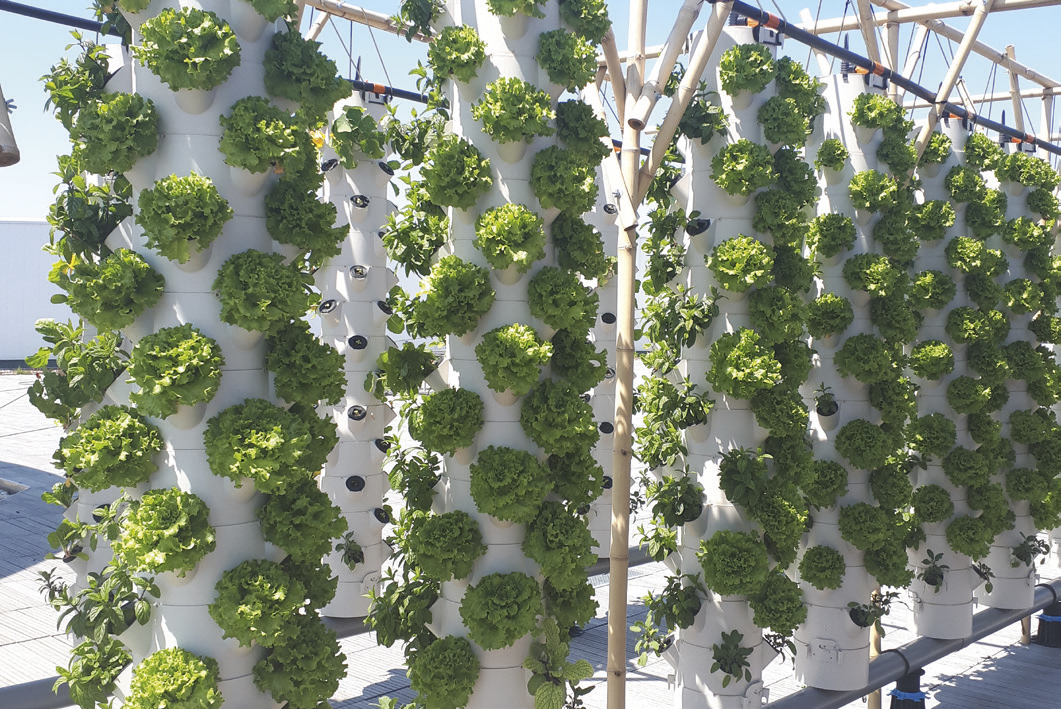 Urban farm