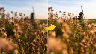 Canon Windmill Landscapes