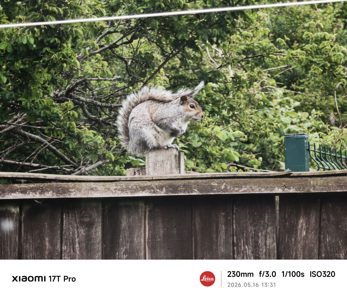 Sample photos from the Xiaomi 17 Pro cameras