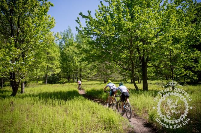 Trans-Sylvania's sea of ferns welcomed riders after the day's enduro segment