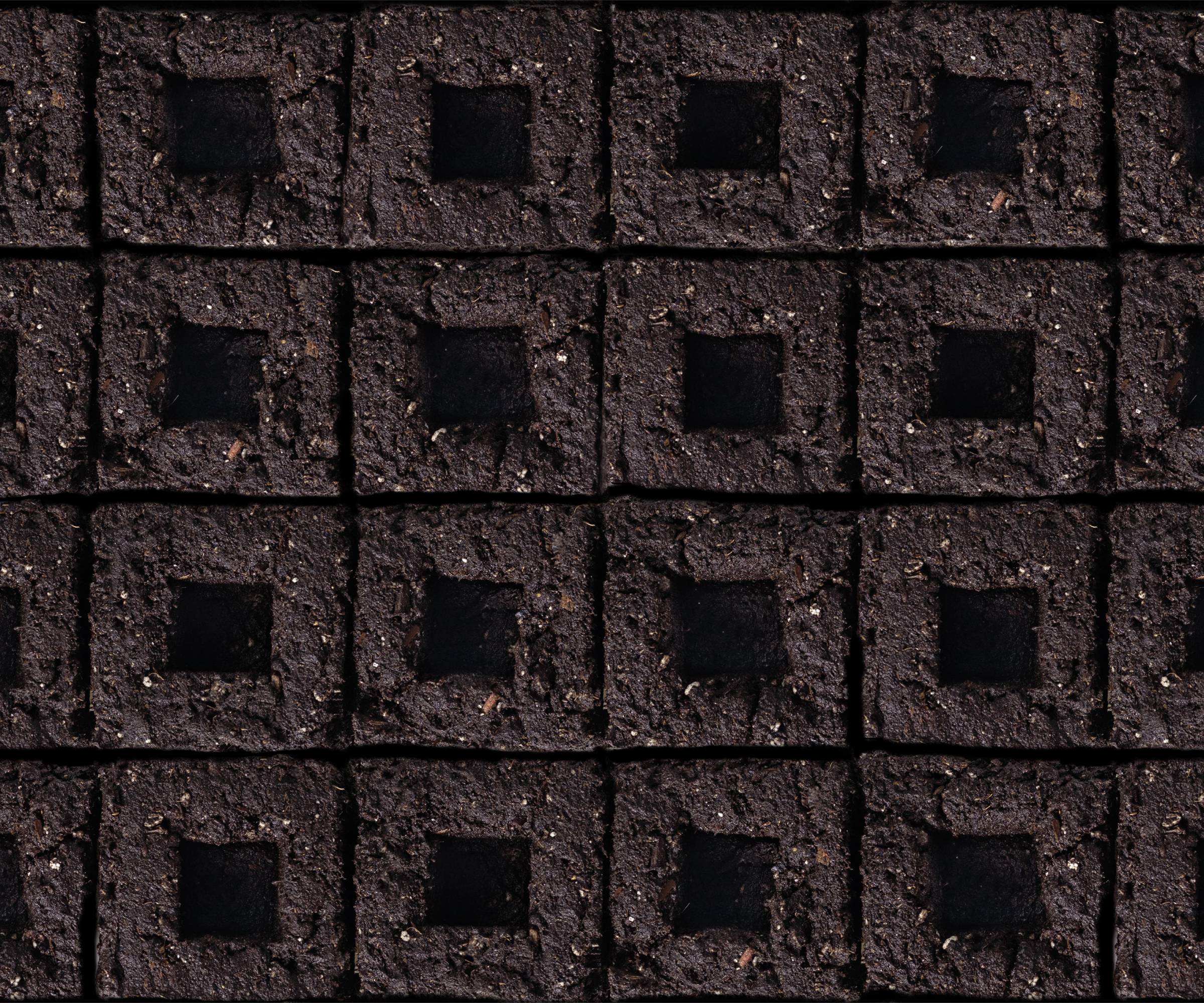 A grid of soil blocks ready for seeds