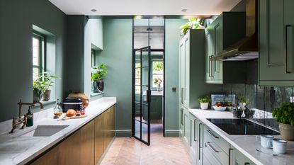 a green colour drench painted kitchen with a row of gold-fronted cabinets on one side and green painted cabinets on the other, an internal Crittal door into a utility/boot room