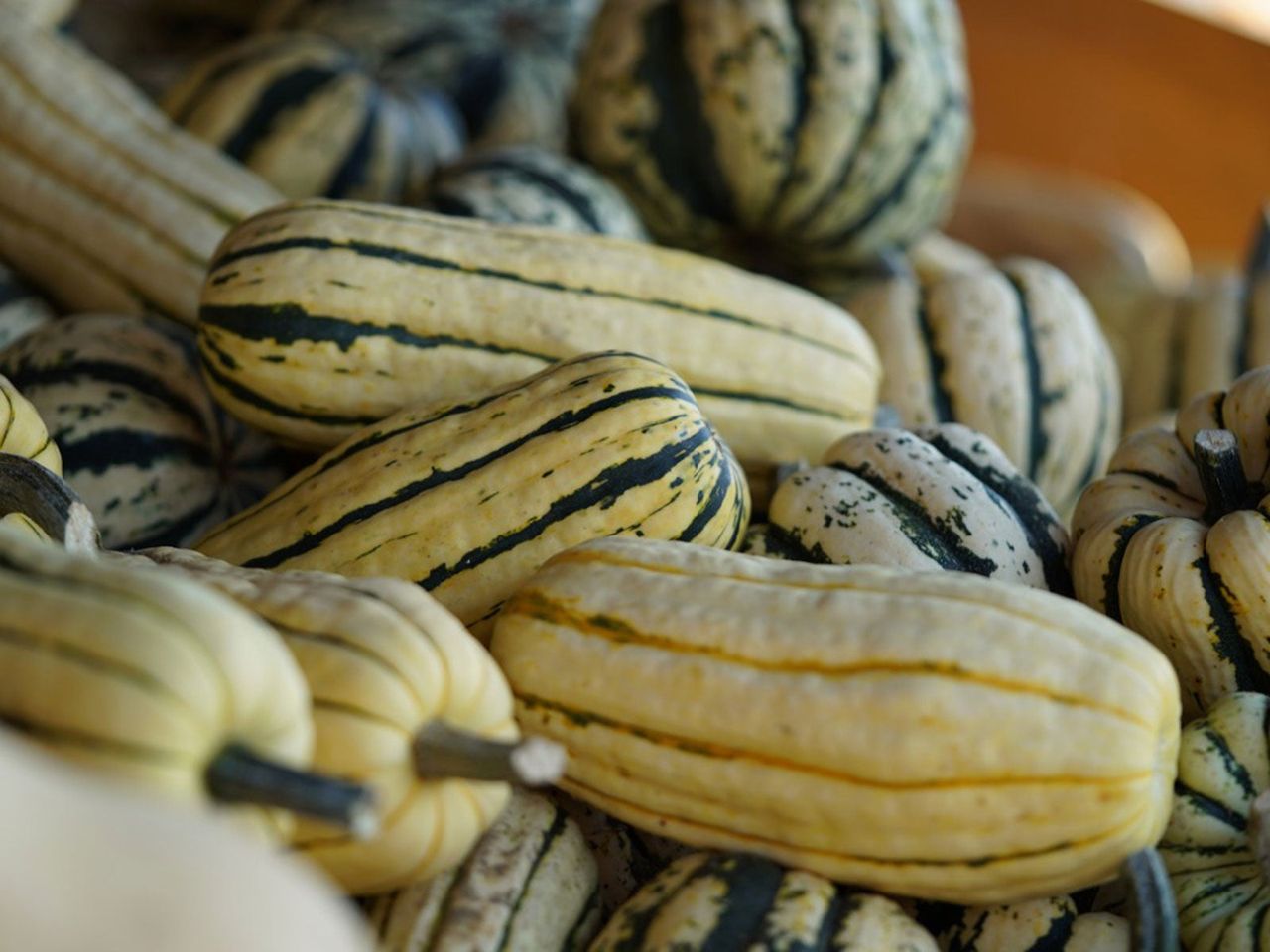 Pile Of Delicata Squash