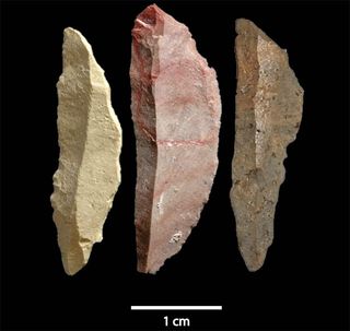 early human tools discovery in South Africa.