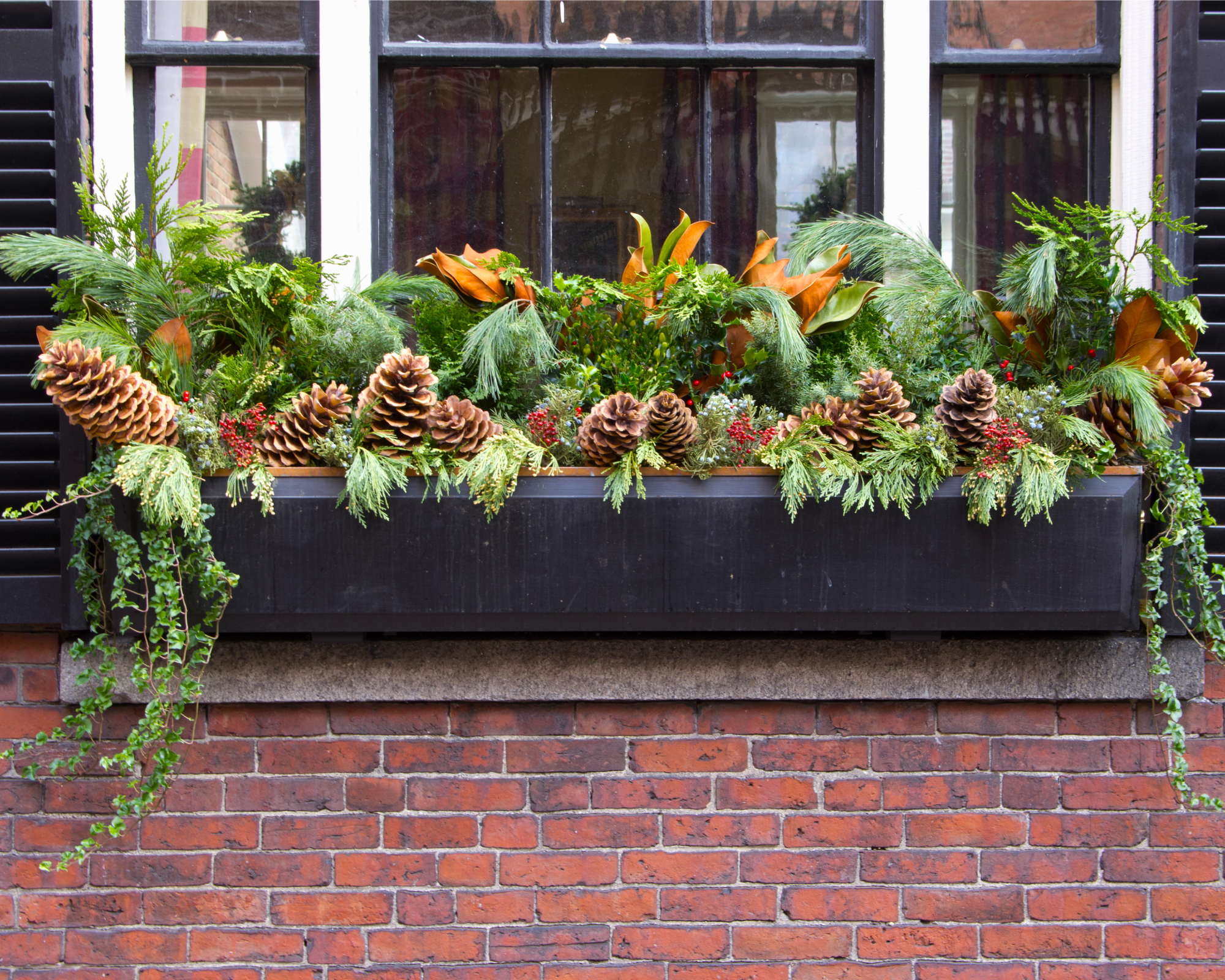 evergreen window box