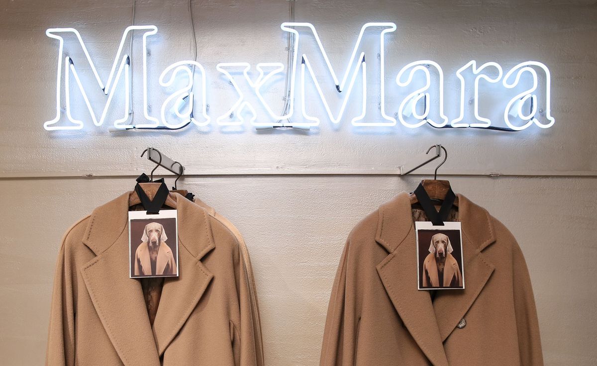 William Wegman's Dogs in Coats travels to Max Mara boutiques