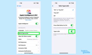 Select Talk & Type to Siri to confirm that the feature is turned on