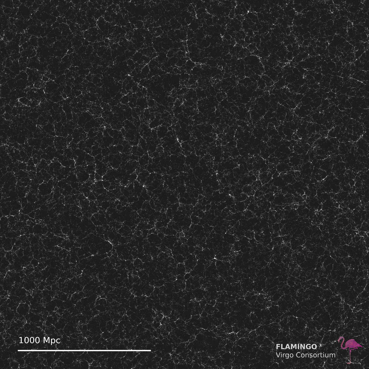 a web of trillions of galaxies is cast in various colors according to their image filter of celestial spectrum interference.
