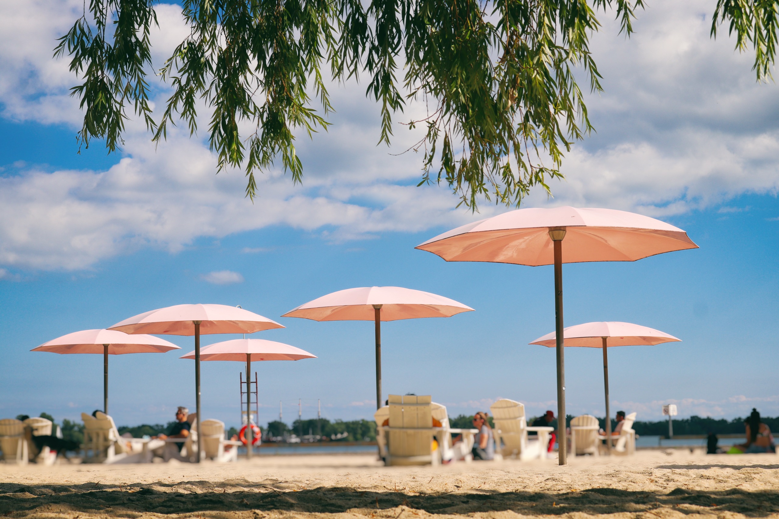 A beach with willow trees and pink-tinted parasols styled alongside white-washed wooden loungers