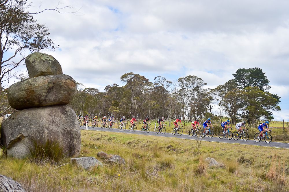 The peloton in action during the 2015 Grafton to Inverall.