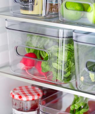 fruit and vegetable stored in plastic transparent boxes in the fridge