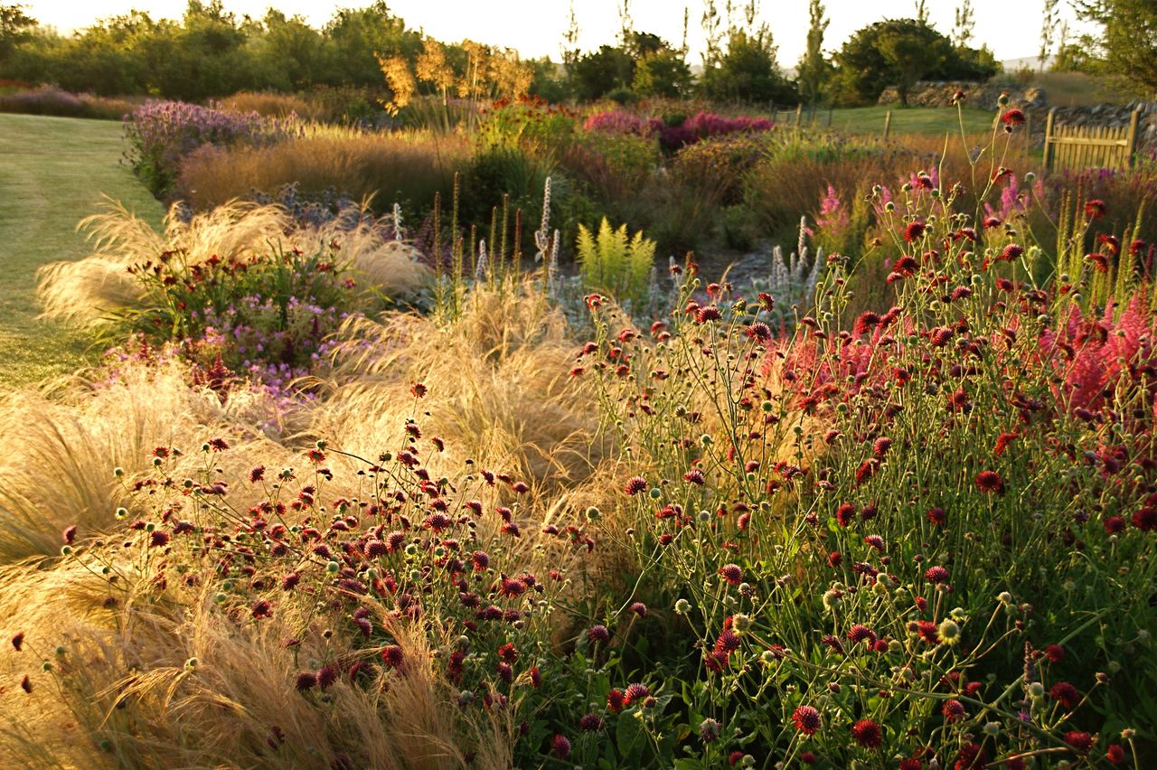 Piet Oudolf On Garden Design And Creating Your Own Space | Wallpaper