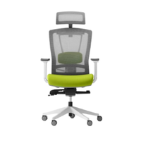Autonomous  ErgoChair Pro