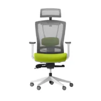 Autonomous  ErgoChair Pro