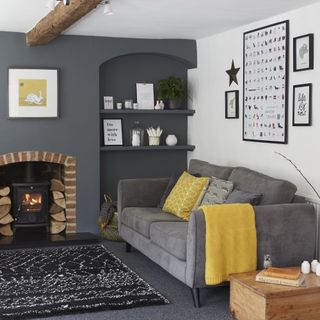 Grey living room with grey sofa