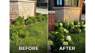 A before and after photo comparison of a garden