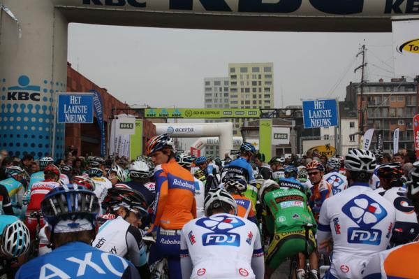 The start line of Scheldeprijs 2012