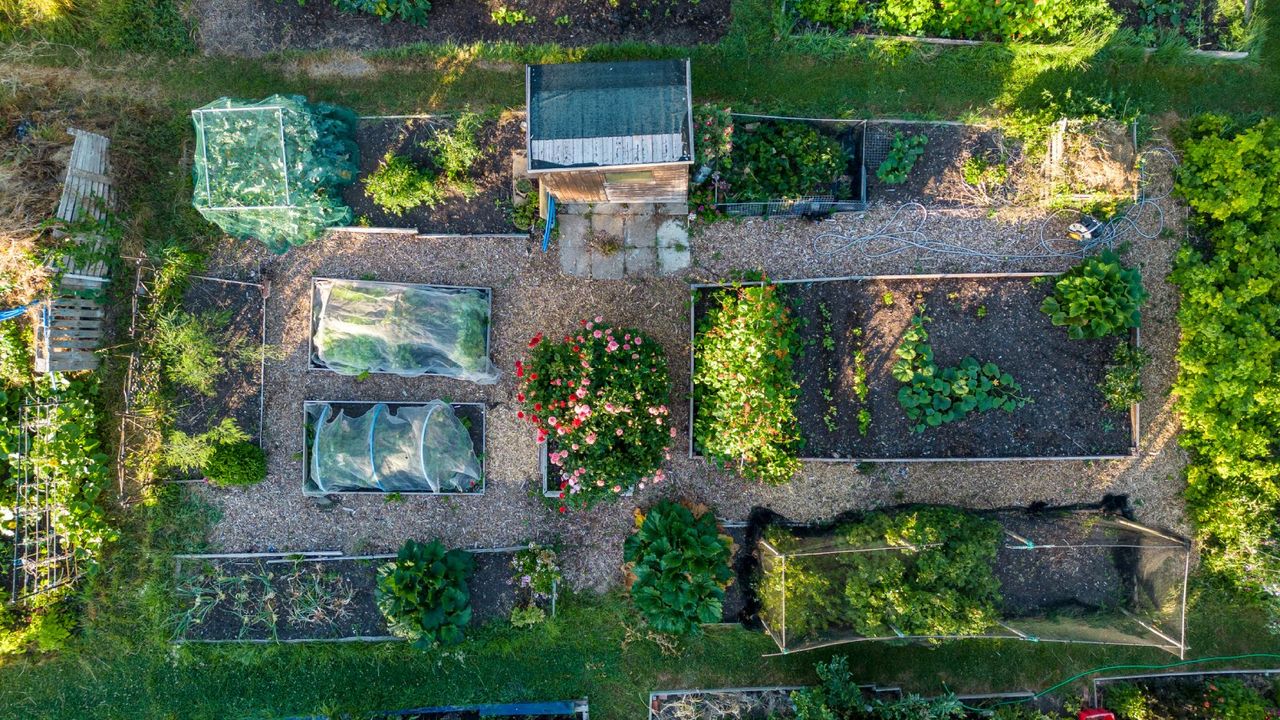 Bird&#039;s eye view of a raised bed garden