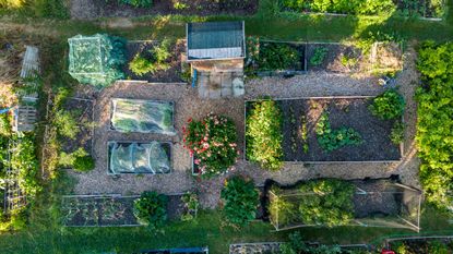 Bird's eye view of a raised bed garden