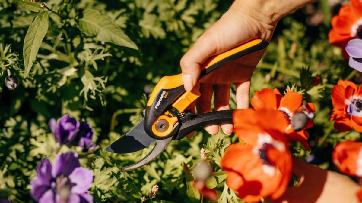 At Only $20, These Ergonomic Pruners Are Hard to Pass Up – Fiskars SmartFit Steel Bypass Pruner P68 Review