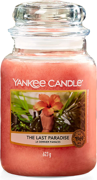 Yankee Candle Scented Candle The Last Paradise - WAS £27.99 Now £18 | Amazon