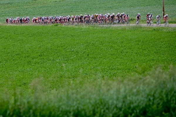 Their was plenty of green countryside along todays route.