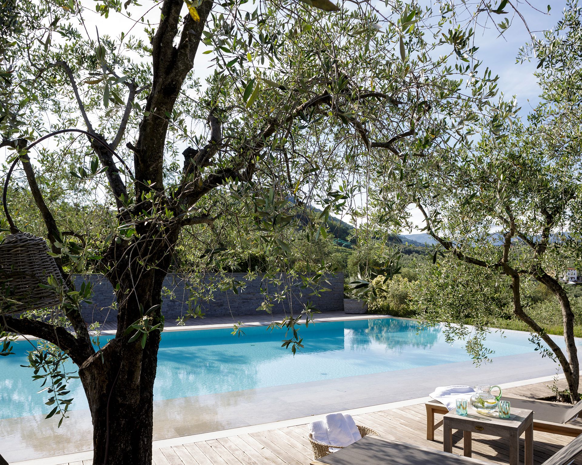The view of a large swimming pool from behind a tree
