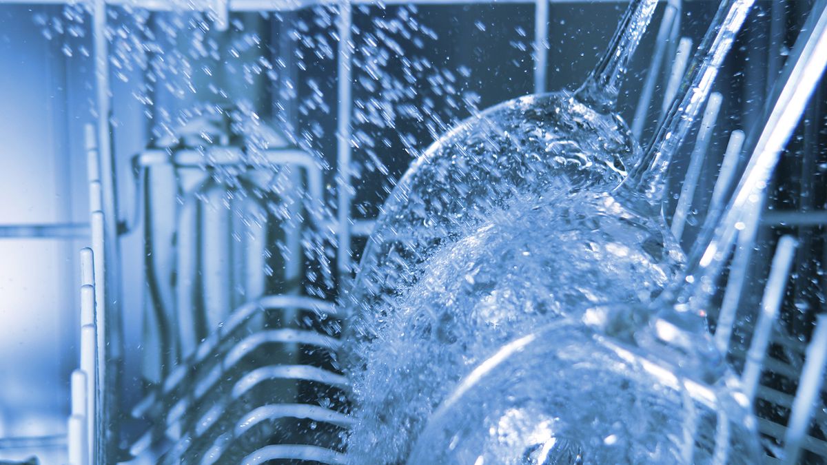 Why is my dishwasher not cleaning properly? Top Ten Reviews