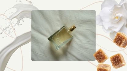 A stock image of a single, glass perfume bottle pictured on a white, linen bedding background and featured in a cream template with pink swirly lines and stock images of a milk spill, brown sugar cubes and white florals to demonstrate the 'outdated' and trending notes of 2026. 