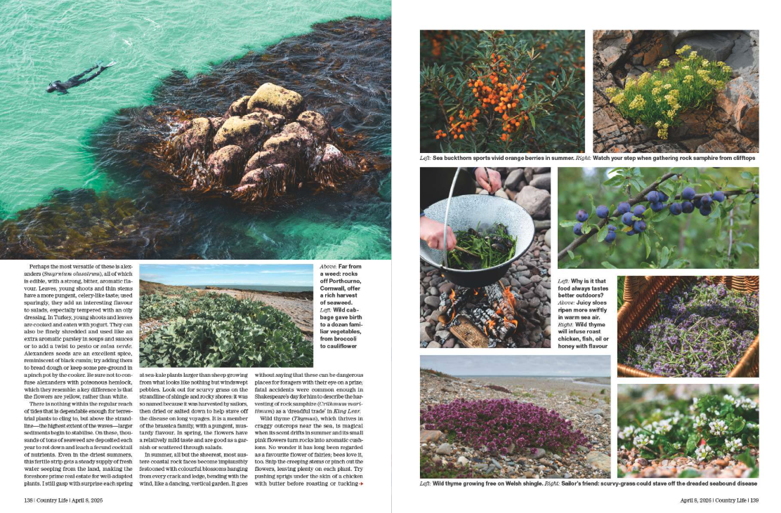Spreads from the April 8 issue of Country Life