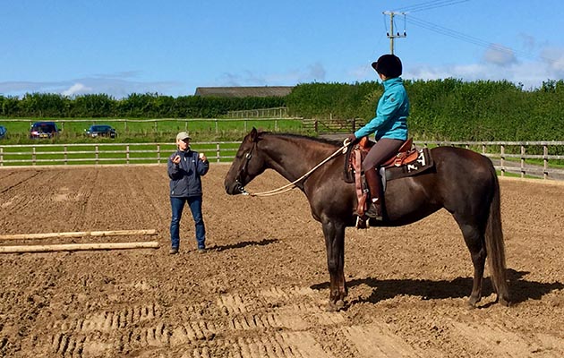 Lessons are available to perfect your Western riding technique