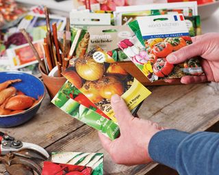 Gardener holds vegetable seed packets