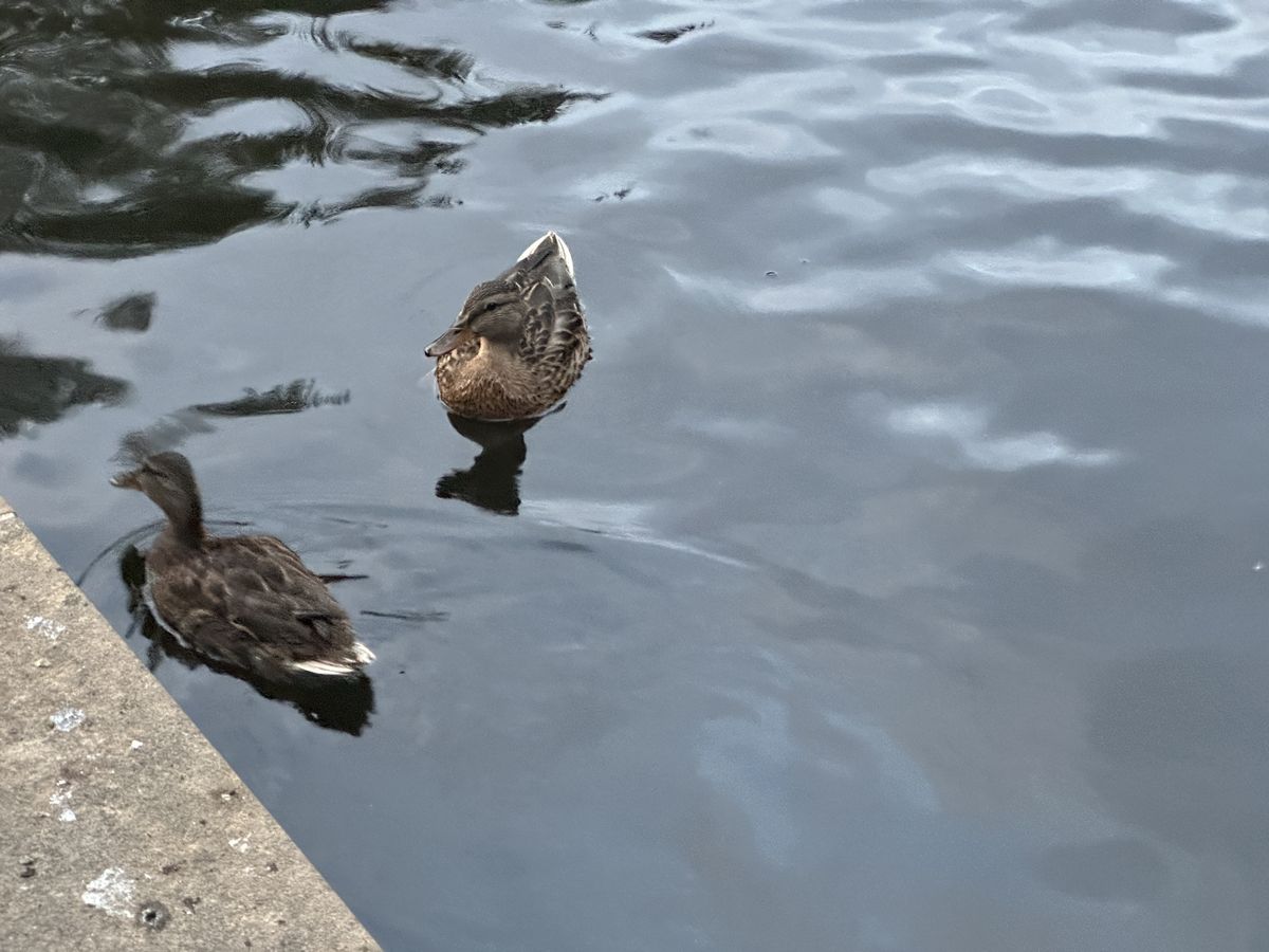 A photo taken on the iPhone 14 Pro