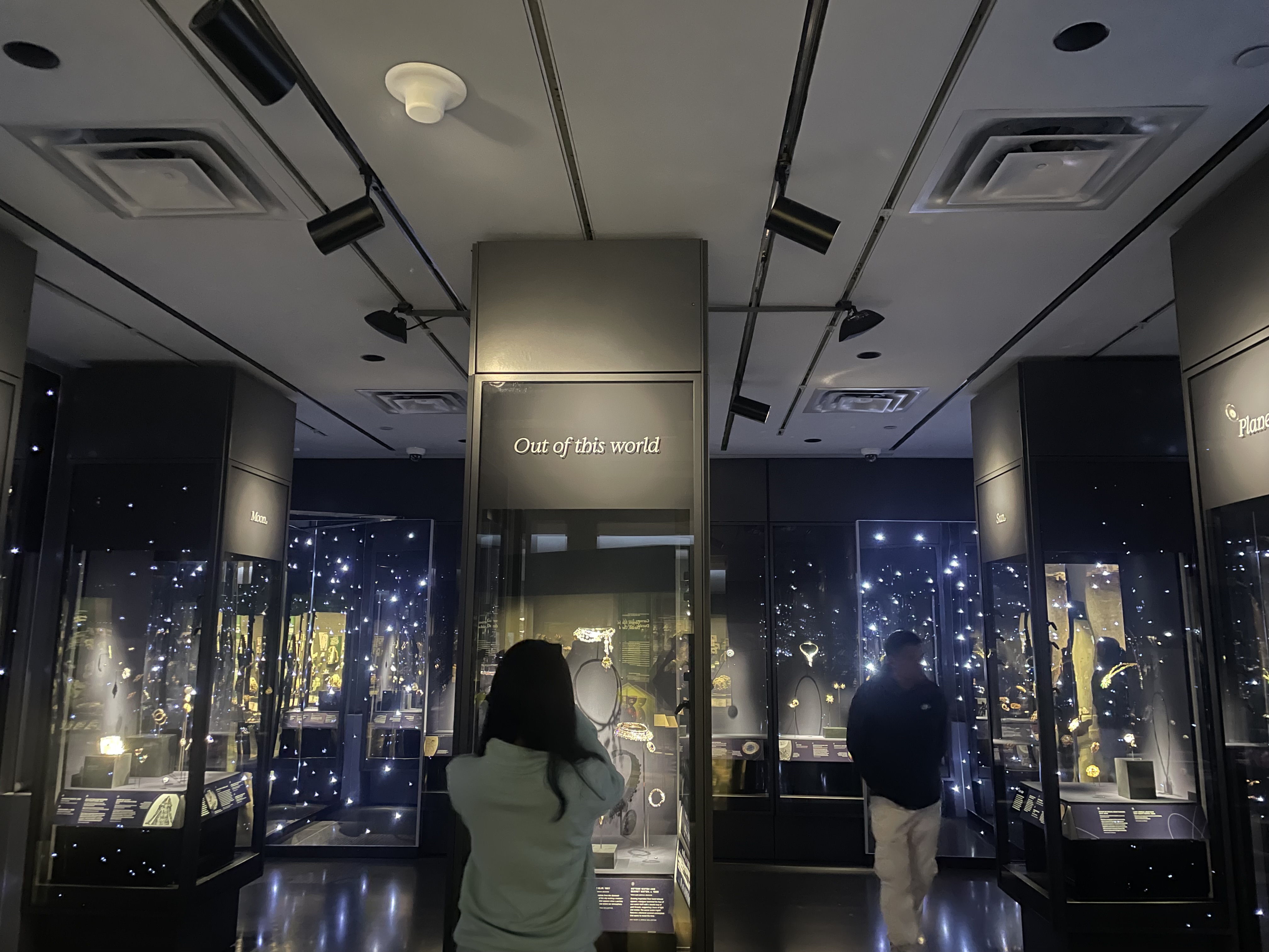 A person taking a photo of an exhibit at the AMNH. There are lots of sparkling lights in the room.