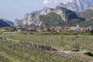 The Giro del Trentino passes the vineyards in the valley