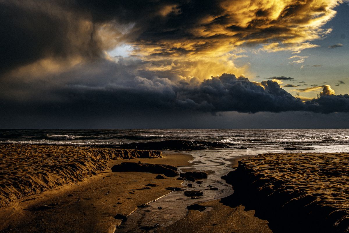 Judit Mikol - Australia