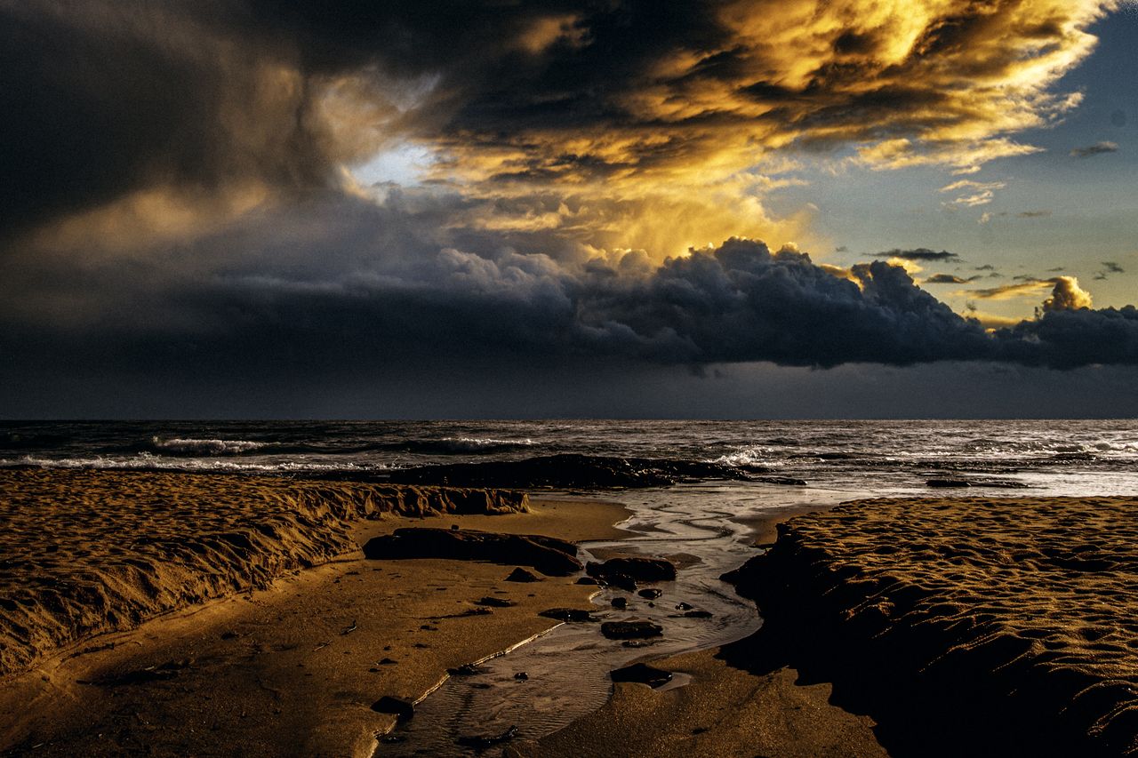 Judit Mikol - Australia