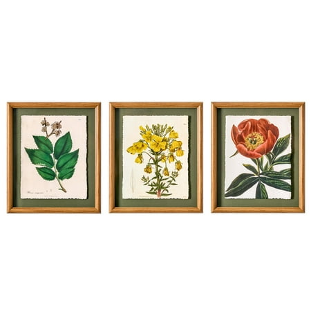Beautiful Framed Vintage Florals Elm Tree Leaves-Yellow Flowers-Peony Flower 3-Piece Set by Drew Barrymore 10" X 12"
