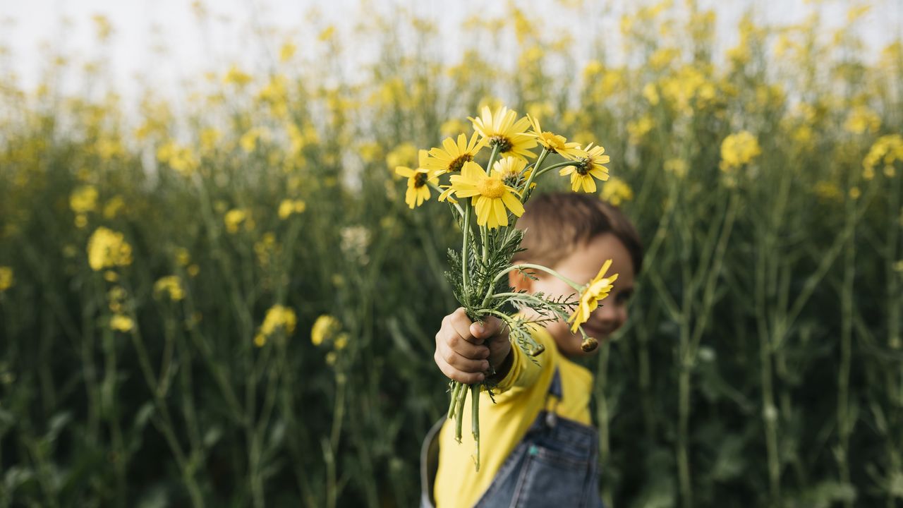 A young boy stands in a field of flowers and holds out a bouquet.