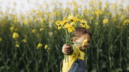 A young boy stands in a field of flowers and holds out a bouquet.