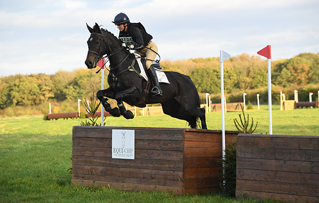 Young event horses to watch Piggy French Graf Cavalier
