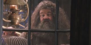 Robbie Coltrane in Harry Potter And The Sorcerer's Stone