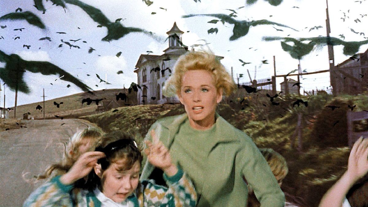 Tippi Hedren in The Birds.