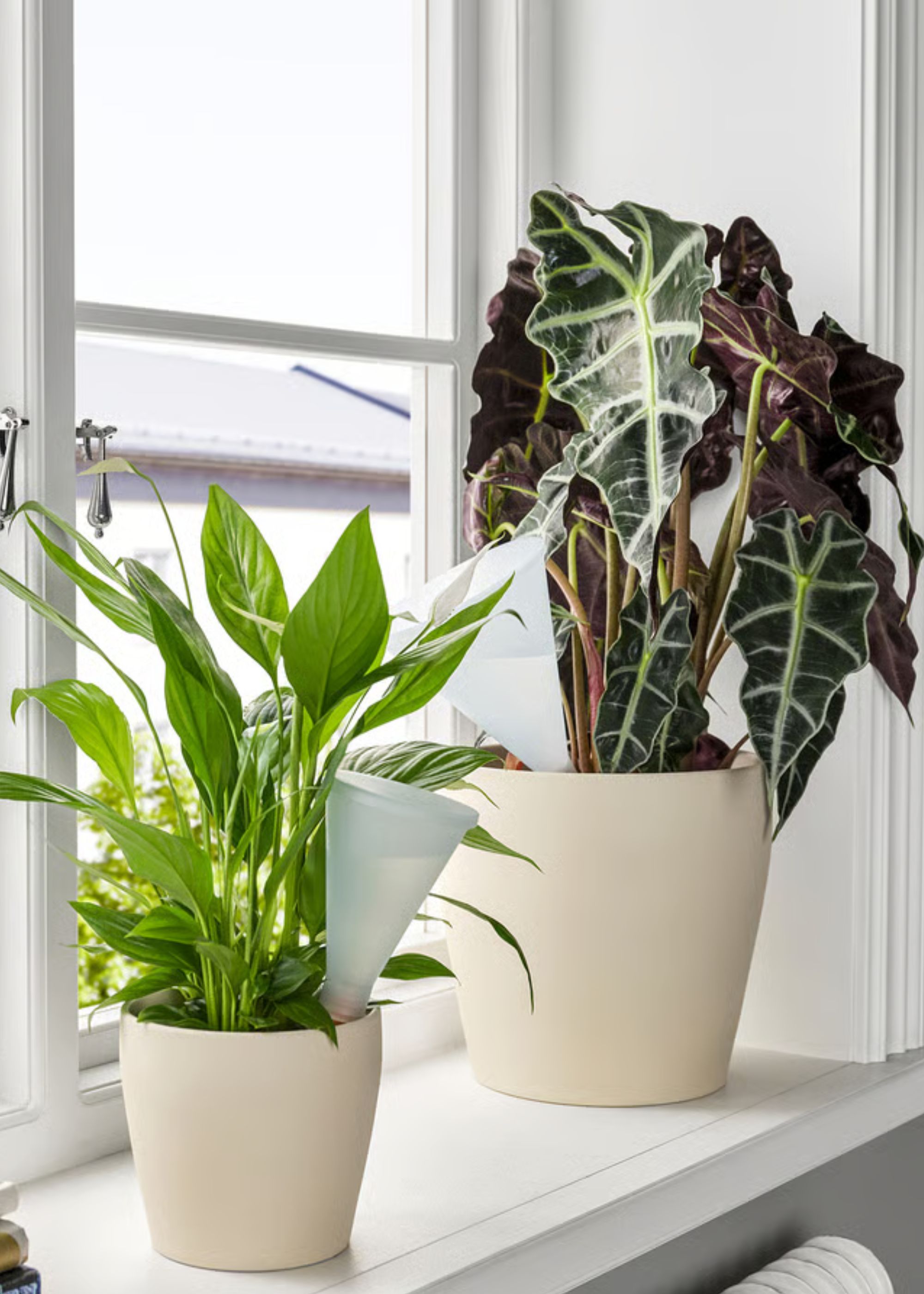 IKEA, SvÄmskog Self-Watering Insert - Terracotta/transparent 25 Cl